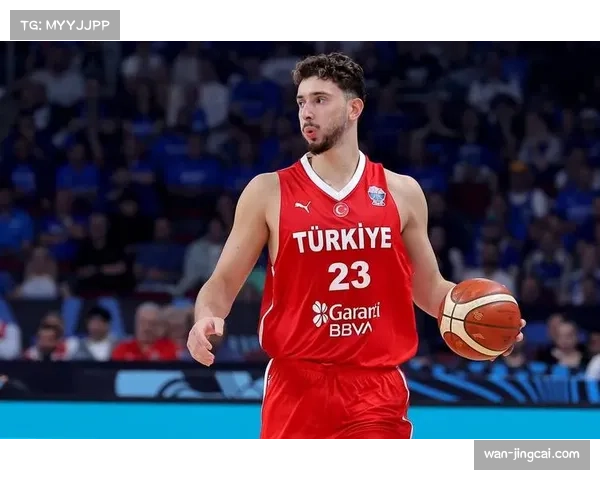 乌度卡防守改造 申京从软肋到核心历程